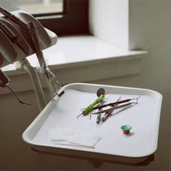 General Dentistry